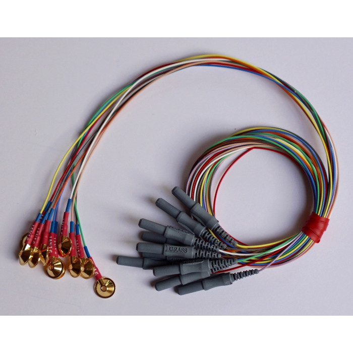 Złocona elektroda miseczkowa Genuine Grass, 10 szt.