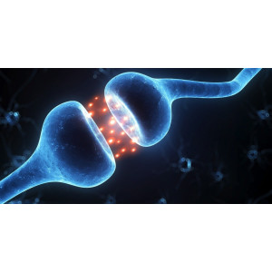 1.Pediatryczne EMG. 3 czerwca 2020r godz.17:00